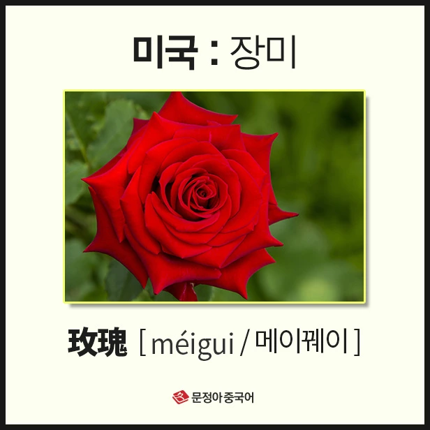 SE-c5f1d69e-3e3b-40e1-8ac3-551d7940d3c7.jpg?type=w1