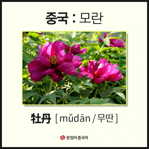 SE-48771230-53cb-4bcc-9feb-2622c254c477.jpg?type=w1