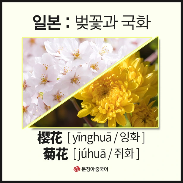 SE-0df1b306-bfe3-4dda-9129-4fbe6c2b4892.jpg?type=w1