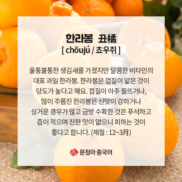 03_%EC%9B%94%EB%B3%84%EC%A0%9C%EC%B2%A0%EC%9D%8C%EC%8B%9D.jpg?type=w1