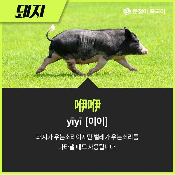 06_%EB%8F%99%EB%AC%BC%EC%9A%B8%EC%9D%8C%EC%86%8C%EB%A6%AC.jpg?type=w1