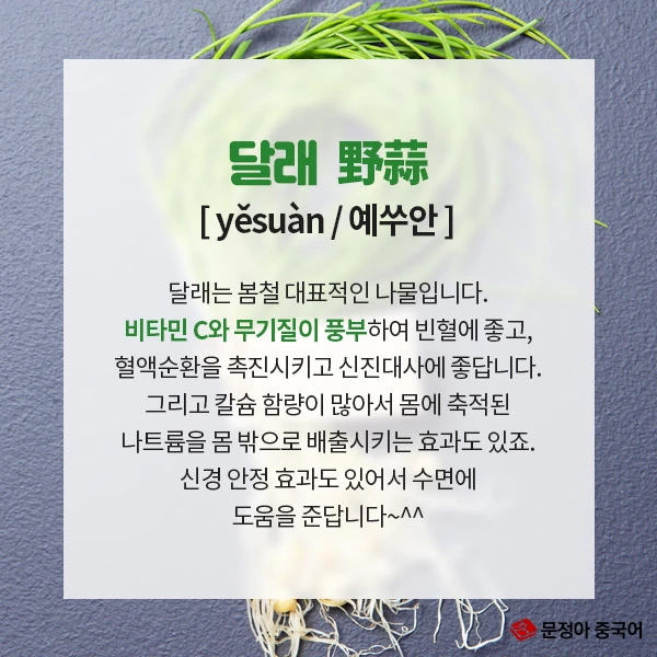 02_%EB%B4%84%EC%B2%A0%EB%A9%B4%EC%97%AD%EB%A0%A5%EC%97%90%EC%A2%8B%EC%9D%80%EC%9D%8C%EC%8B%9D.jpg?type=w1