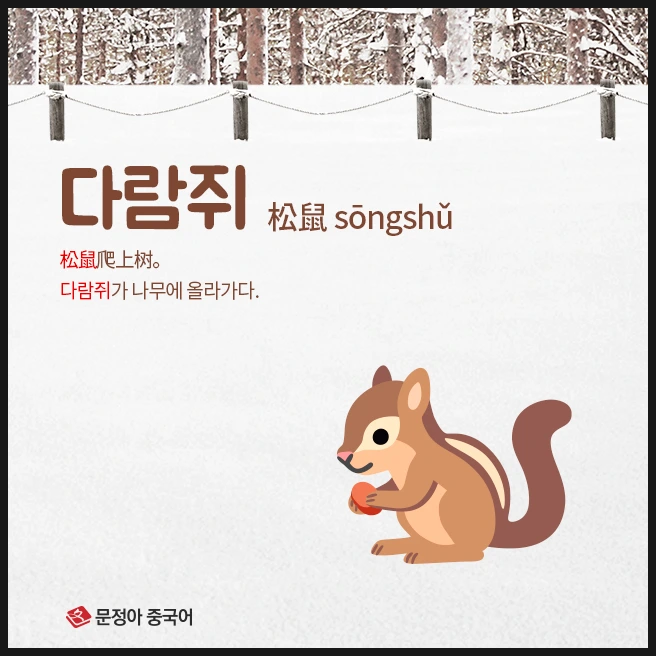 SE-1ec274a6-3d77-4038-baaf-5f327f8b15f3.jpg?type=w1