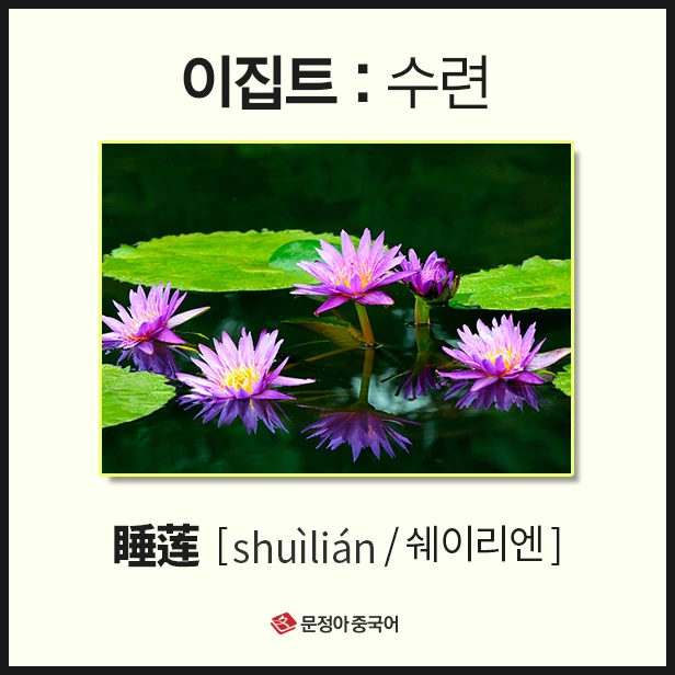 SE-f0c51026-b9c3-4fa3-8378-986d656e03f5.jpg?type=w1