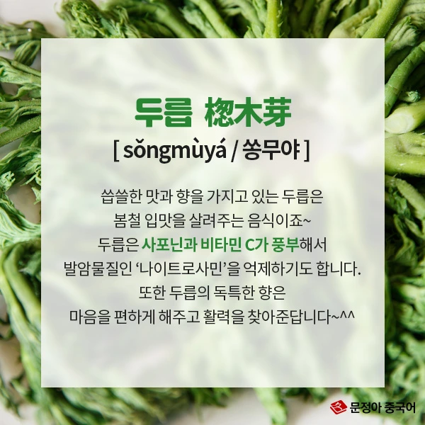 03_%EB%B4%84%EC%B2%A0%EB%A9%B4%EC%97%AD%EB%A0%A5%EC%97%90%EC%A2%8B%EC%9D%80%EC%9D%8C%EC%8B%9D.jpg?type=w1