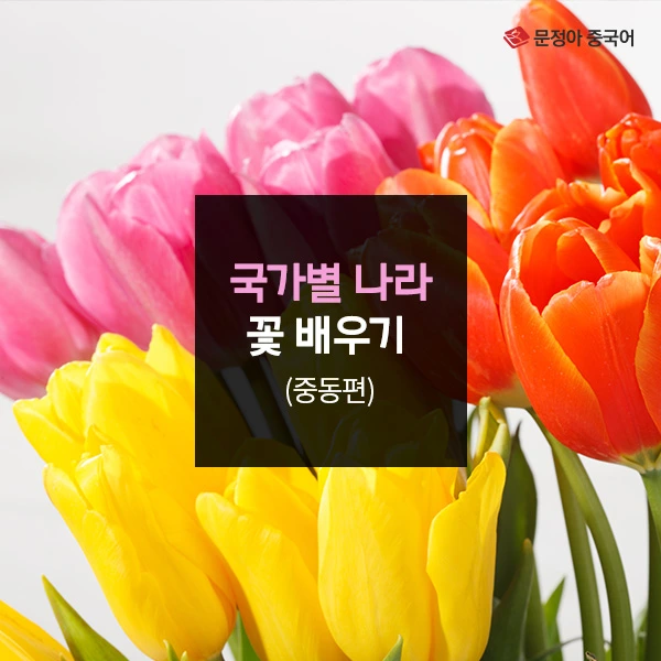 00_%EA%B5%AD%EA%B0%80%EB%B3%84%EB%82%98%EB%9D%BC%EA%BD%83%EB%B0%B0%EC%9A%B0%EA%B8%B0_%EC%BB%A4%EB%B2%84.jpg?type=w1