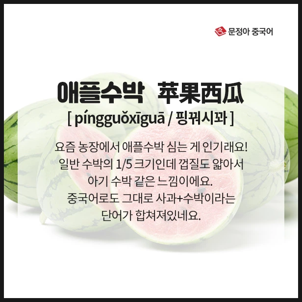 SE-c2512e48-ed57-4344-99dd-19f4308cbd6a.jpg?type=w1