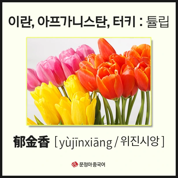 SE-f68abe07-4f57-4dd7-b87b-a70215bfae82.jpg?type=w1