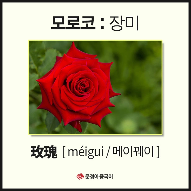 SE-e0929739-c7b4-4a8e-b92d-89e5350708fc.jpg?type=w1