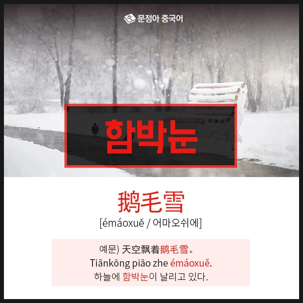 SE-0bfa80c5-5dc3-41ff-9269-e61413e07e82.jpg?type=w1