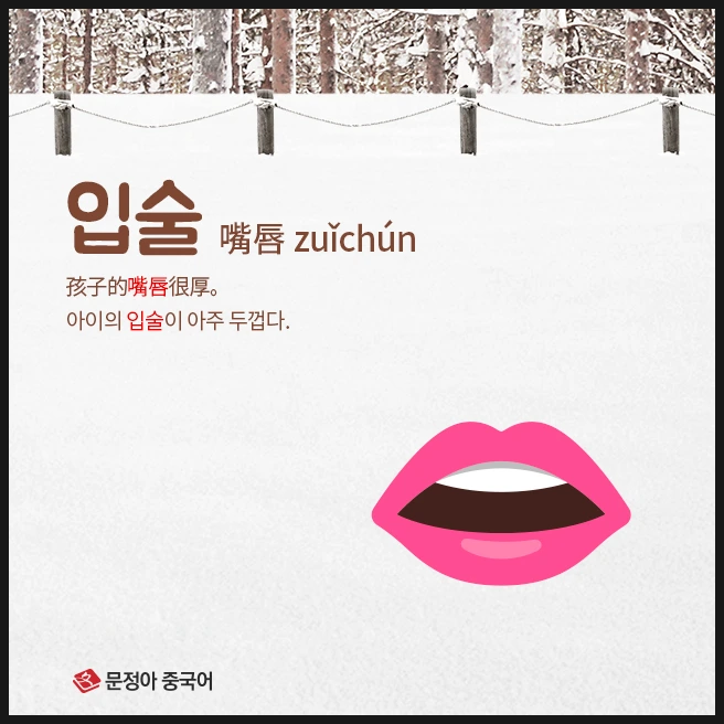 SE-89ebc85f-13a0-4848-90fe-12e557f6ac9e.jpg?type=w1