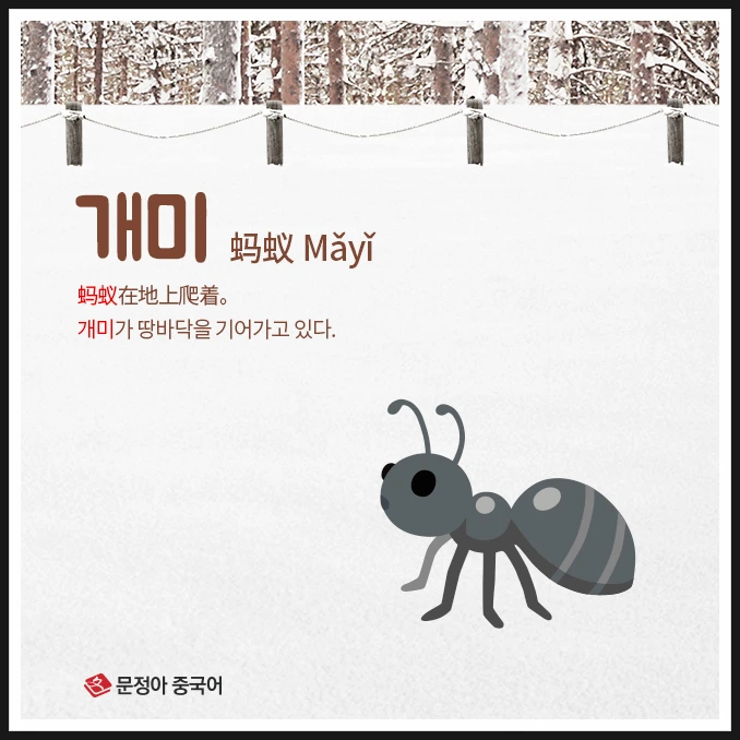 SE-01cfaef4-cb21-4813-b276-32d7b183acad.jpg?type=w1