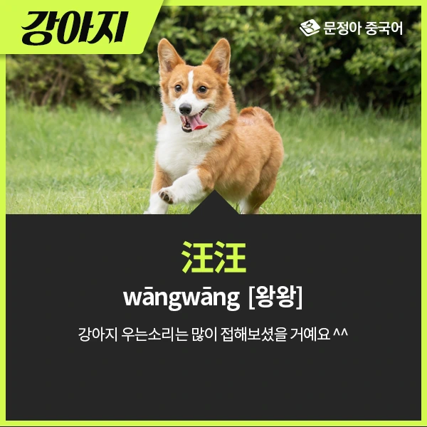 04_%EB%8F%99%EB%AC%BC%EC%9A%B8%EC%9D%8C%EC%86%8C%EB%A6%AC.jpg?type=w1