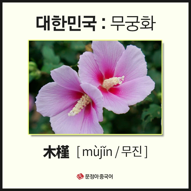 SE-00af83cb-ac6c-47ae-96ee-bd43b9c960d3.jpg?type=w1