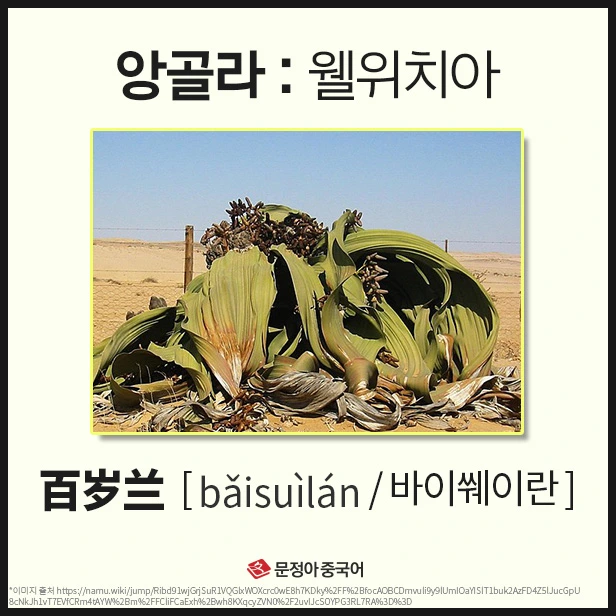 SE-01228efc-355e-44af-813b-afa74fc34d94.jpg?type=w1