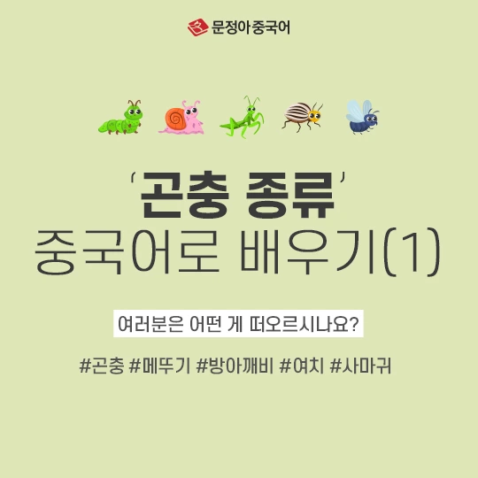 %EA%B3%A4%EC%B6%A9-%EC%A2%85%EB%A5%98(1%ED%83%84)-600.jpg?type=w1