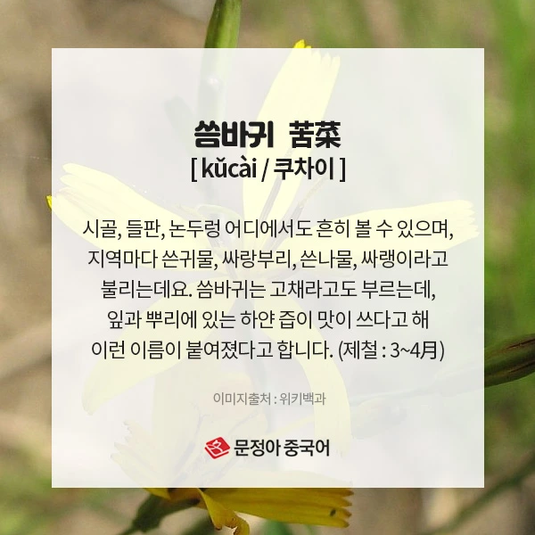 04_%EC%9B%94%EB%B3%84%EC%A0%9C%EC%B2%A0%EC%9D%8C%EC%8B%9D.jpg?type=w1