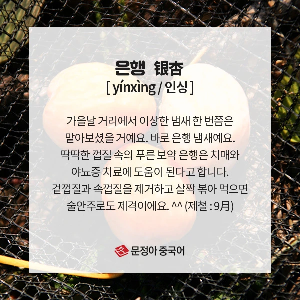 02_%EC%9B%94%EB%B3%84%EC%A0%9C%EC%B2%A0%EC%9D%8C%EC%8B%9D.jpg?type=w1