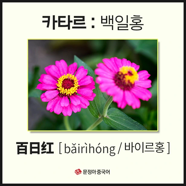 SE-ac844874-ee0e-452a-bbff-866892e437a2.jpg?type=w1