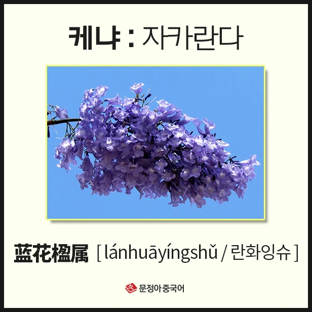 SE-0986934f-f969-4170-b1a9-41a5403eff83.jpg?type=w1