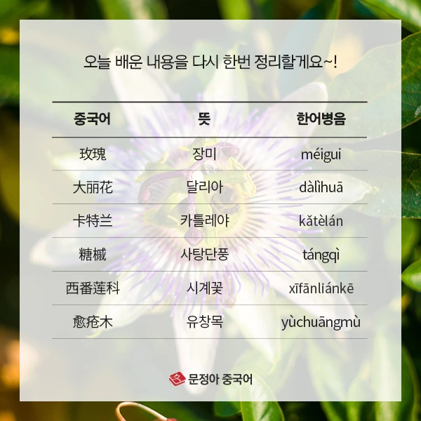 07_%EA%B5%AD%EA%B0%80%EB%B3%84%EB%82%98%EB%9D%BC%EA%BD%83%EB%B0%B0%EC%9A%B0%EA%B8%B0(-1).jpg?type=w1