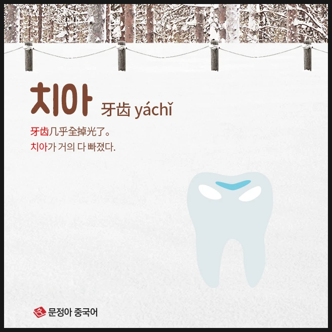 SE-5842edc8-943c-4739-a6b2-9203fc8ed22a.jpg?type=w1