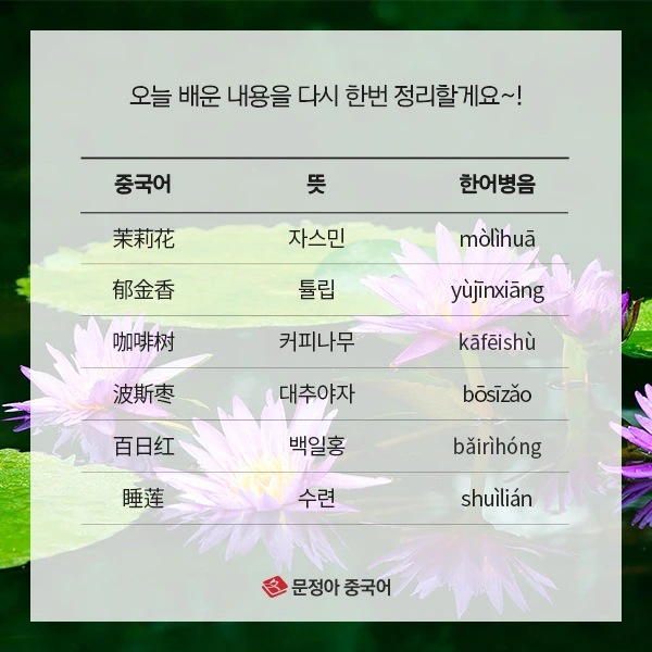 07_%EA%B5%AD%EA%B0%80%EB%B3%84%EB%82%98%EB%9D%BC%EA%BD%83%EB%B0%B0%EC%9A%B0%EA%B8%B0(-1).jpg?type=w1