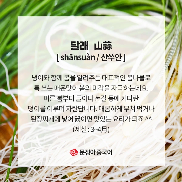 01_%EC%9B%94%EB%B3%84%EC%A0%9C%EC%B2%A0%EC%9D%8C%EC%8B%9D.jpg?type=w1