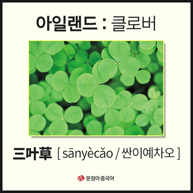 SE-ba8f9cdf-031f-46f8-8b8f-1b21607e53ae.jpg?type=w1