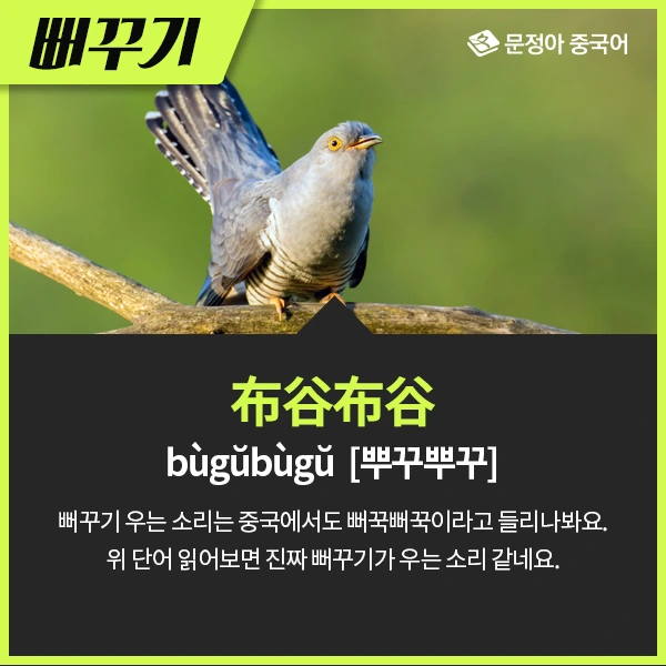 05_%EB%8F%99%EB%AC%BC%EC%9A%B8%EC%9D%8C%EC%86%8C%EB%A6%AC.jpg?type=w1