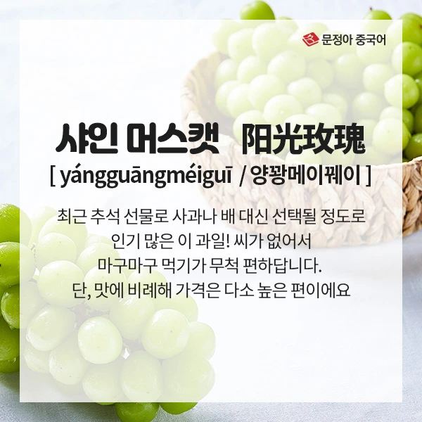 04_%EC%9D%B4%EC%83%89%EA%B3%BC%EC%9D%BC.jpg?type=w1