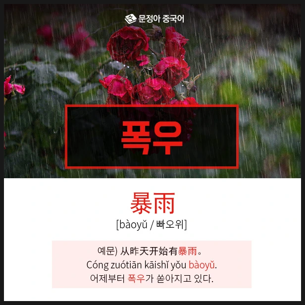 SE-162fbb55-ad0c-4489-92af-fee1542ce0fd.jpg?type=w1