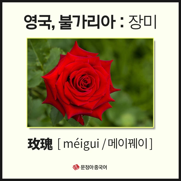 SE-b2be1d86-a21f-4dd7-9d60-2803ec87f0a5.jpg?type=w1