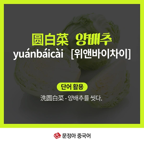 02_%EC%8B%9D%EC%9E%AC%EB%A3%8C.jpg?type=w1