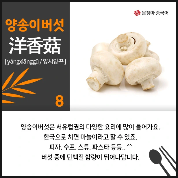 SE-3c82cbd3-8483-4a22-b6e0-29fc7e5453dd.jpg?type=w1