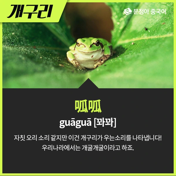 03_%EB%8F%99%EB%AC%BC%EC%9A%B8%EC%9D%8C%EC%86%8C%EB%A6%AC.jpg?type=w1