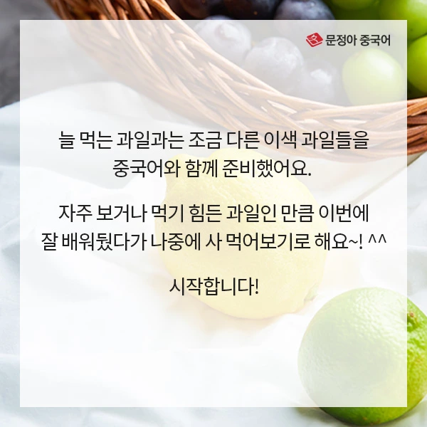 00_%EC%9D%B4%EC%83%89%EA%B3%BC%EC%9D%BC.jpg?type=w1