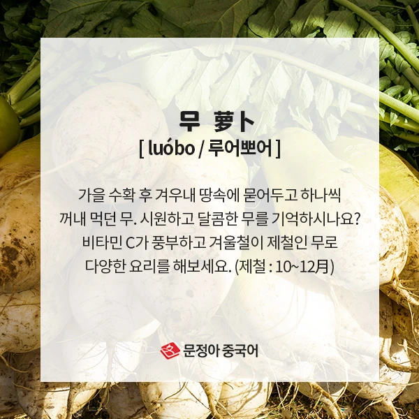 02_%EC%9B%94%EB%B3%84%EC%A0%9C%EC%B2%A0%EC%9D%8C%EC%8B%9D.jpg?type=w1