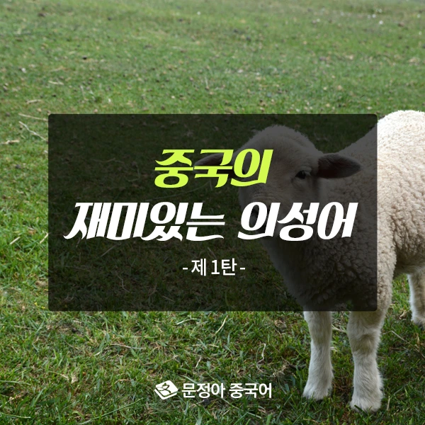 00_%EB%8F%99%EB%AC%BC%EC%9A%B8%EC%9D%8C%EC%86%8C%EB%A6%AC%EC%BB%A4%EB%B2%84600x600.jpg?type=w1