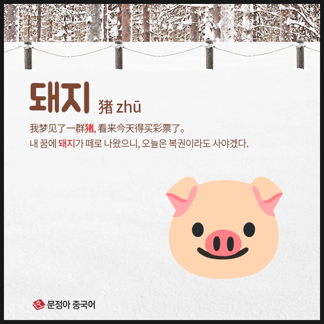 SE-50852951-f448-4fd0-8cb7-1b1fbe6c7222.jpg?type=w1