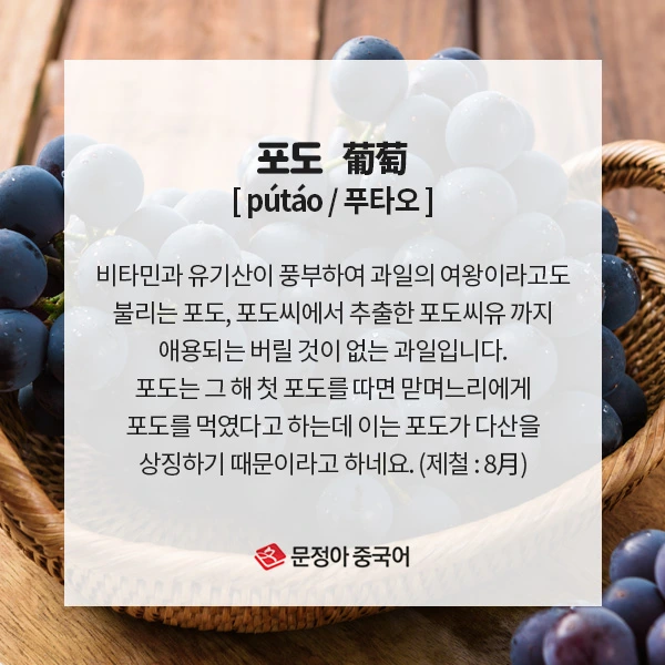 04_%EC%9B%94%EB%B3%84%EC%A0%9C%EC%B2%A0%EC%9D%8C%EC%8B%9D.jpg?type=w1