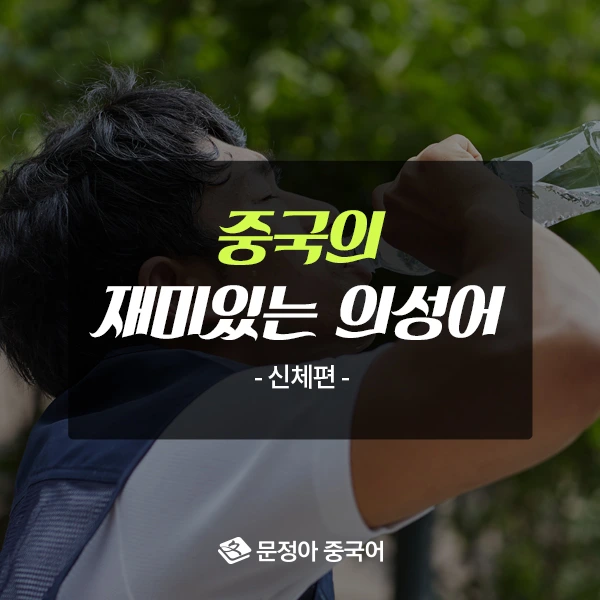 00_%EC%9D%98%EC%84%B1%EC%96%B4%EC%8B%A0%EC%B2%B4%ED%8E%B8600x600.jpg?type=w1