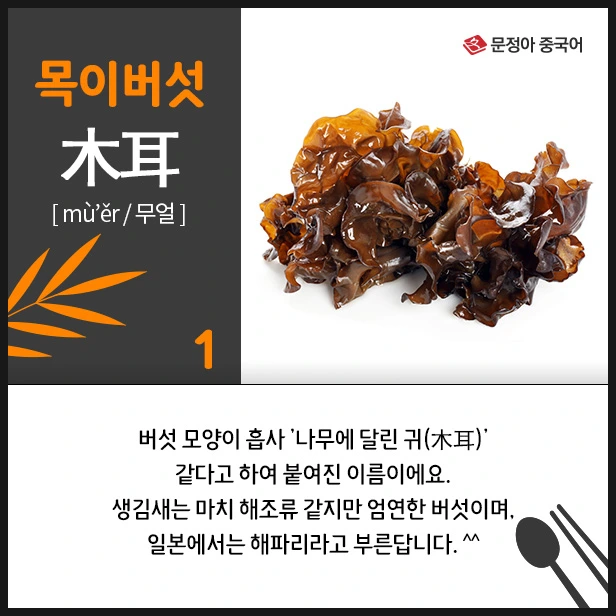 SE-2673ea56-87c0-4124-980a-caaa898f854b.jpg?type=w1