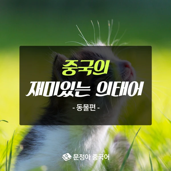 00_%EC%9D%98%ED%83%9C%EC%96%B4%EB%8F%99%EB%AC%BC%ED%8E%B8600x600.jpg?type=w1