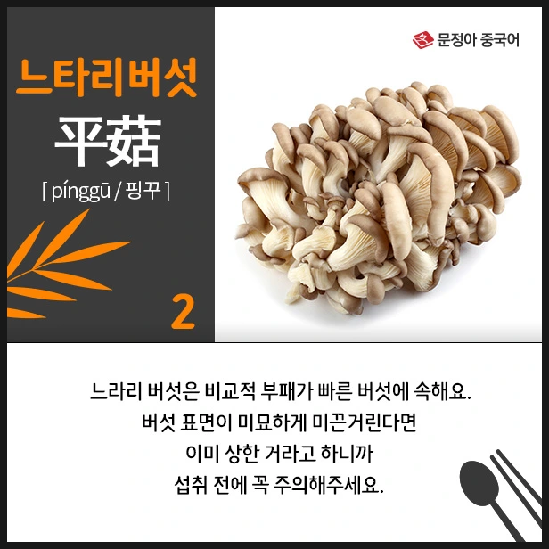 SE-82479d7c-59ed-45d0-bd23-0a66b8230d4e.jpg?type=w1