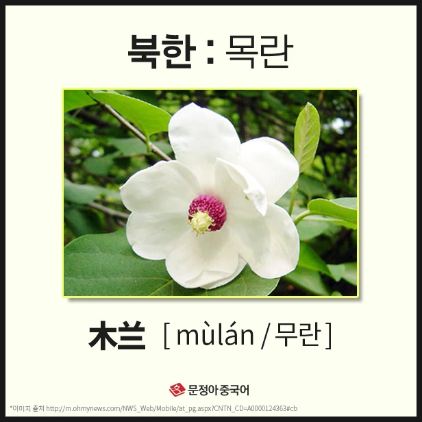 SE-61e25f57-9e2f-430f-8322-8394838204dd.jpg?type=w1