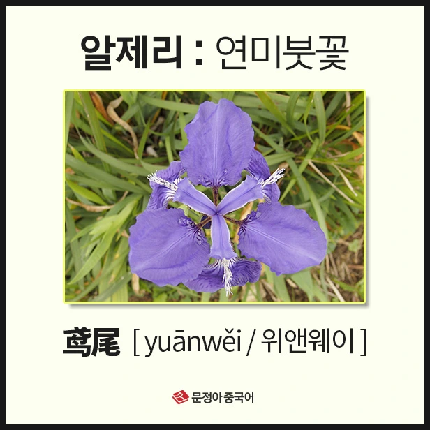 SE-6e43eedc-481f-4629-a45f-3d6c115b4332.jpg?type=w1