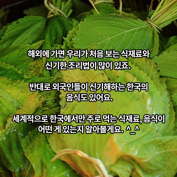 0(%EC%9D%B8%ED%8A%B8%EB%A1%9C).jpg?type=w1