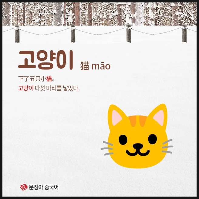 SE-102e3bd3-80c7-44fc-9499-65b72ece32e9.jpg?type=w1