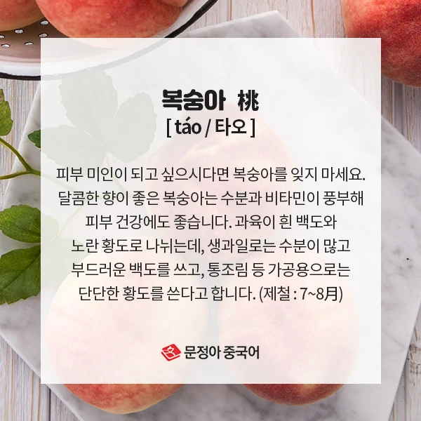 05_%EC%9B%94%EB%B3%84%EC%A0%9C%EC%B2%A0%EC%9D%8C%EC%8B%9D.jpg?type=w1